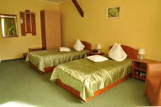 Отель Hotel Cardinal Сату-Маре Двухместный номер с 2 отдельными кроватями-2