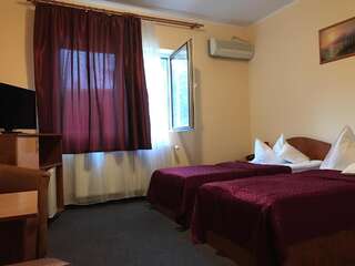 Отель Hotel Cardinal Сату-Маре Двухместный номер с 2 отдельными кроватями-6